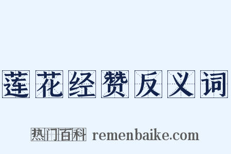 莲花经赞反义词是什么意思的图片